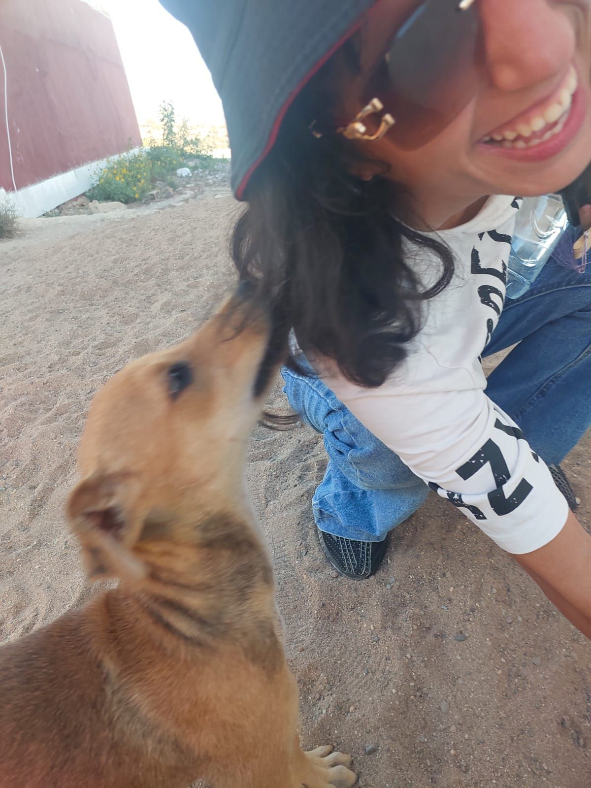 Hiba's photo